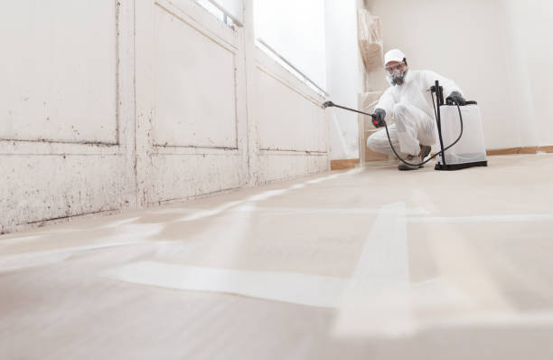 24/7 Emergency Mold Removal experts in Highland Park, PA